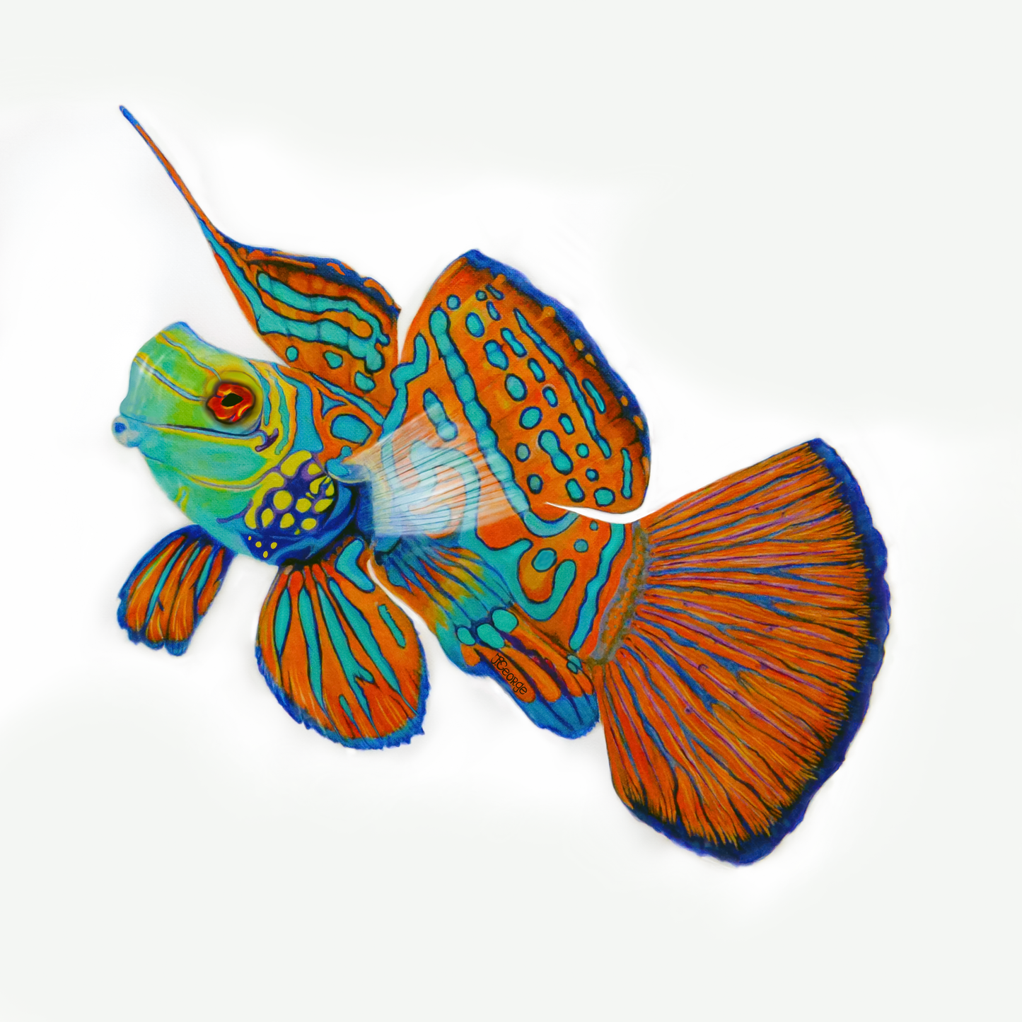 Mandarin Fish