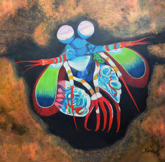 Mantis shrimp