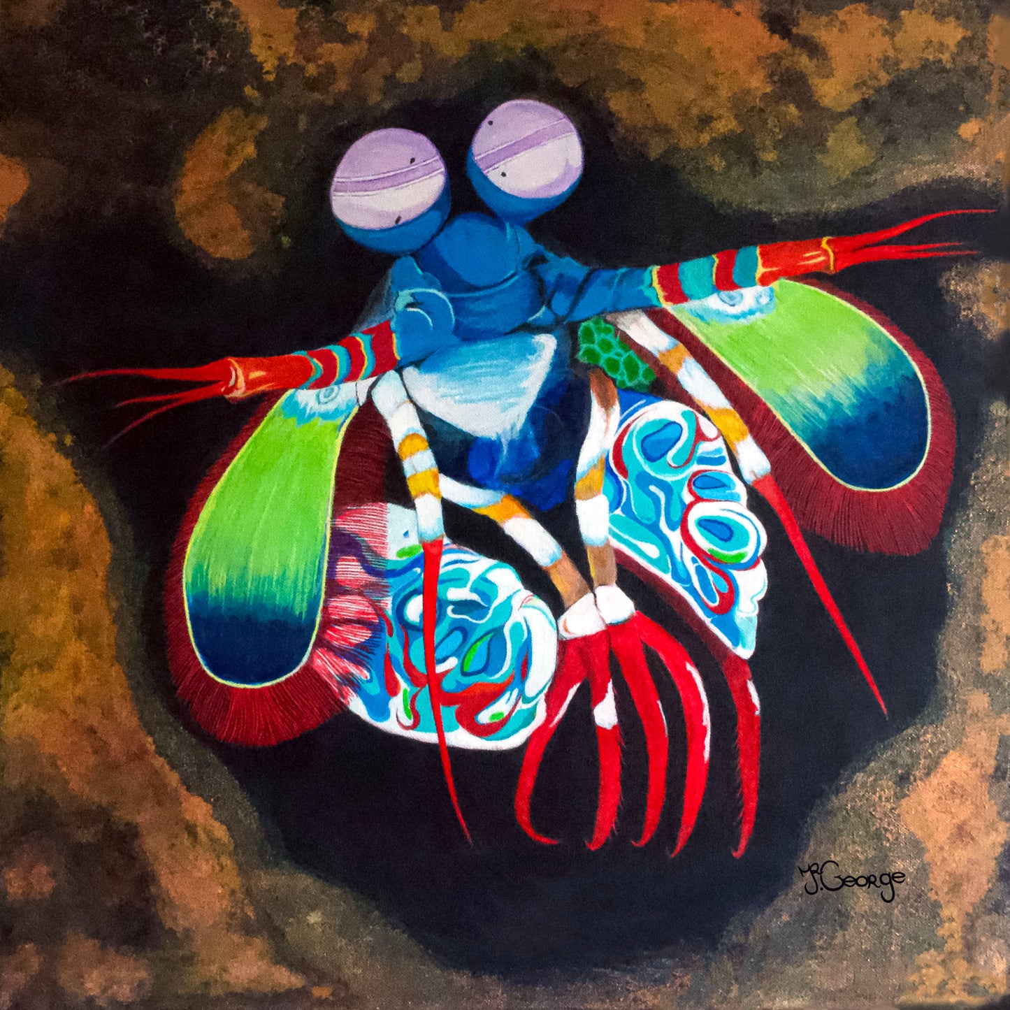 Mantis shrimp